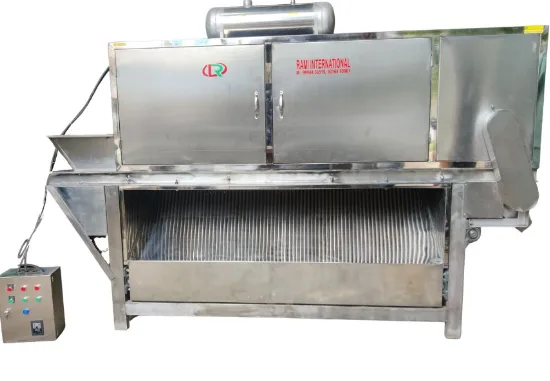 Commercial dry garlic peeling machine by Rami International